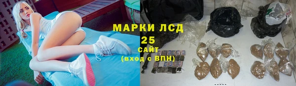 индика Армянск
