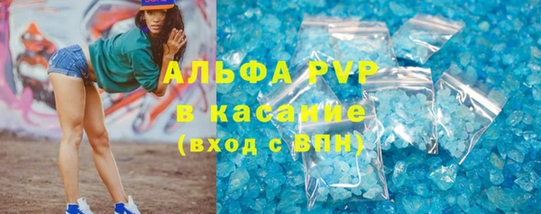 стафф Арсеньев