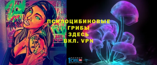 стафф Арсеньев