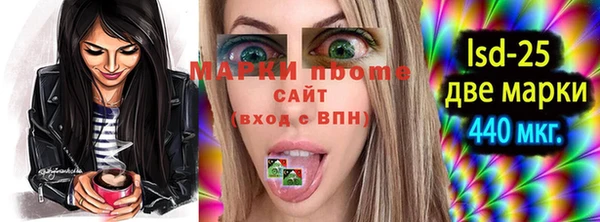 стафф Арсеньев