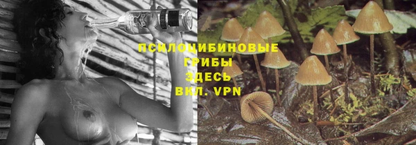 скорость Аркадак