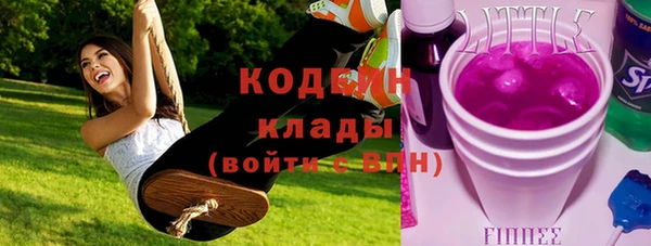стафф Арсеньев