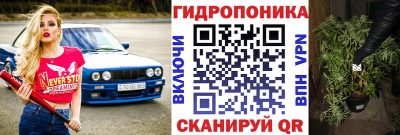 сколько стоит  Остров  omg как войти  Конопля OG Kush 